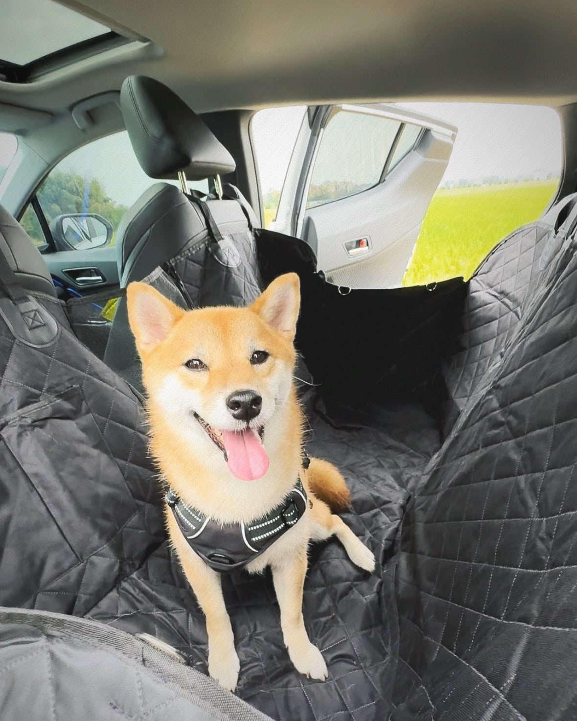 Pet Car Seat Protector