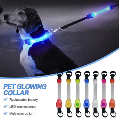 Pet Collar Light