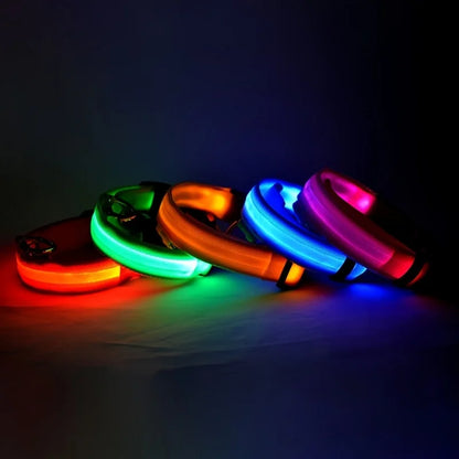 Luminous Glow Dog Leash & Collar