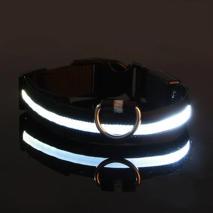 Luminous Glow Dog Leash & Collar