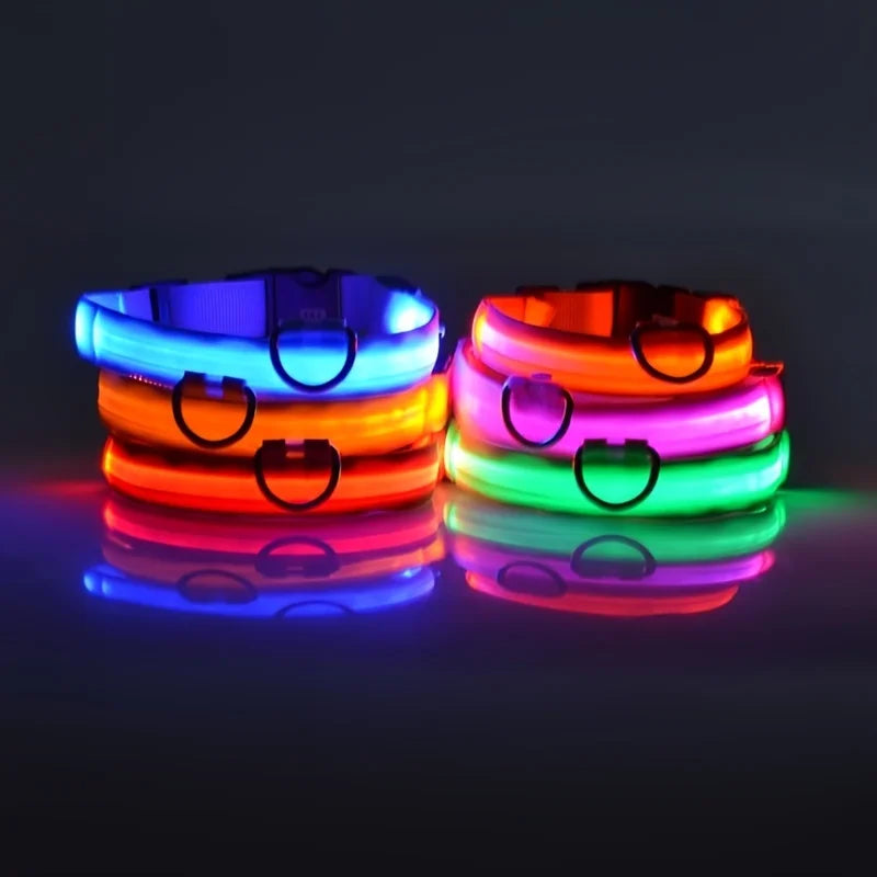 Luminous Glow Dog Leash & Collar