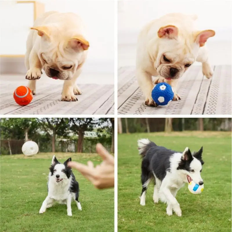 Bouncy Latex Dog Football Toy