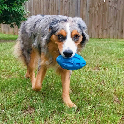 Chew Ball for Dogs