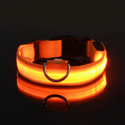 Luminous Glow Dog Leash & Collar