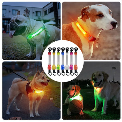 Pet Collar Light