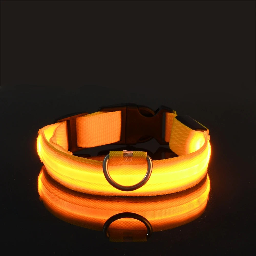 Luminous Glow Dog Leash & Collar