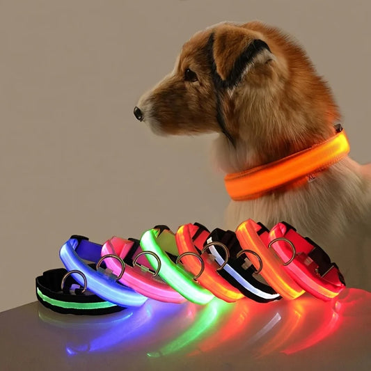 Luminous Glow Dog Leash & Collar