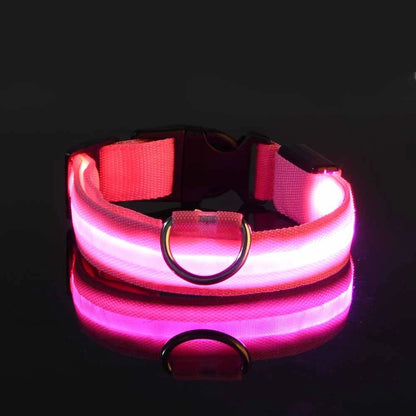 Luminous Glow Dog Leash & Collar