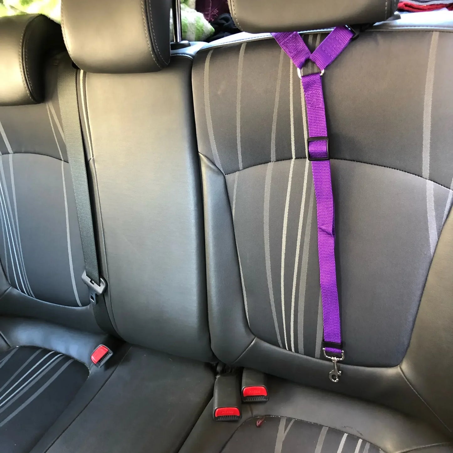 PetSafe Adjustable Car Seat Belt