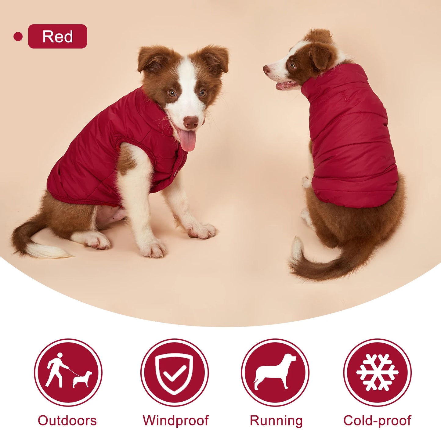 Cozy Paws Winter Dog Jacket