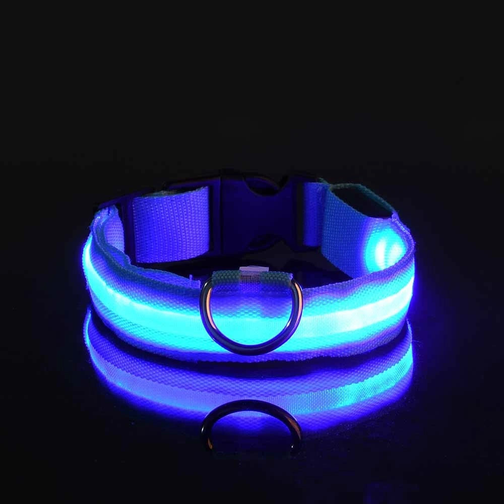 Luminous Glow Dog Leash & Collar