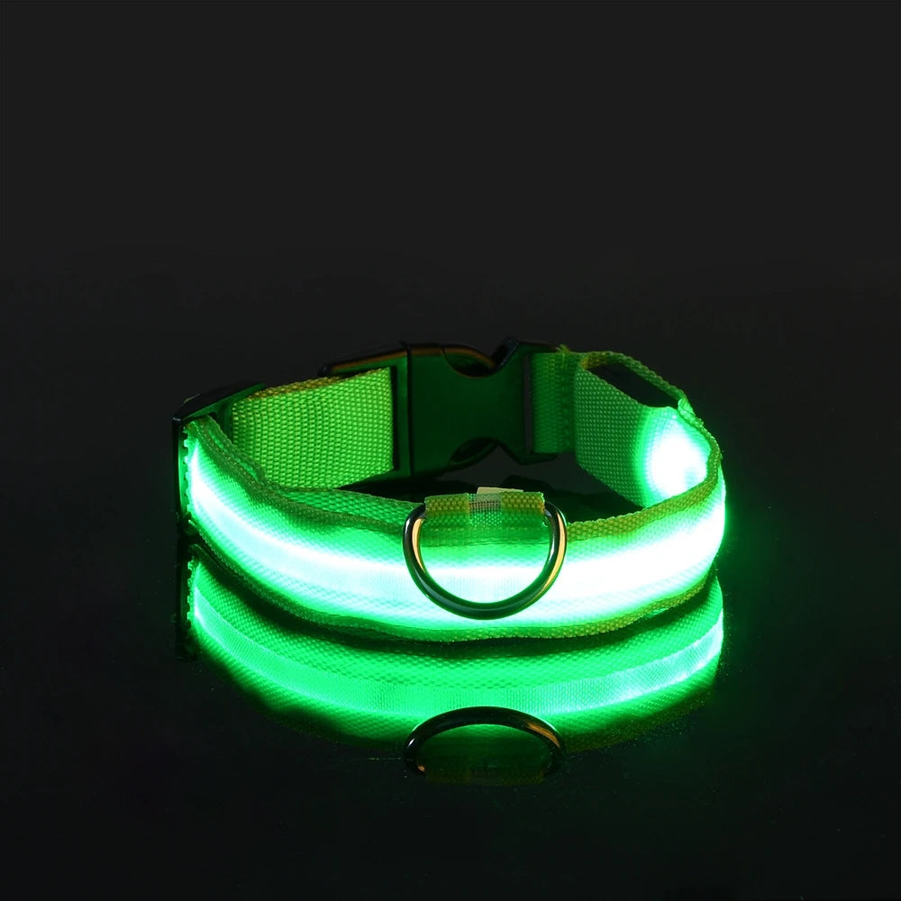 Luminous Glow Dog Leash & Collar