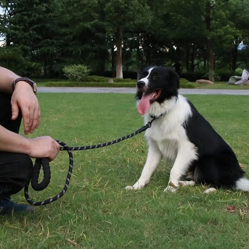 Reflective Nylon Dog Walking Leash