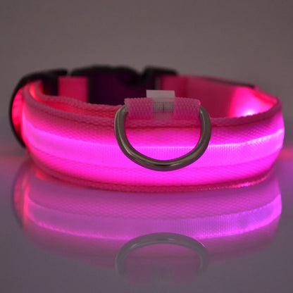 Luminous Glow Dog Leash & Collar