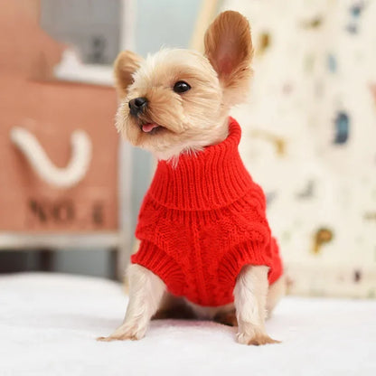 Cozy Pup Sweater: Winter Wardrobe Essential