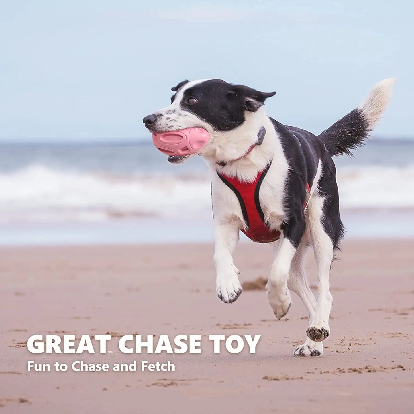 Chew Ball for Dogs