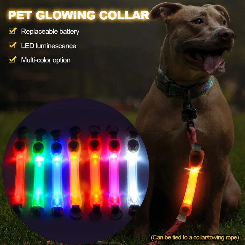 Pet Collar Light