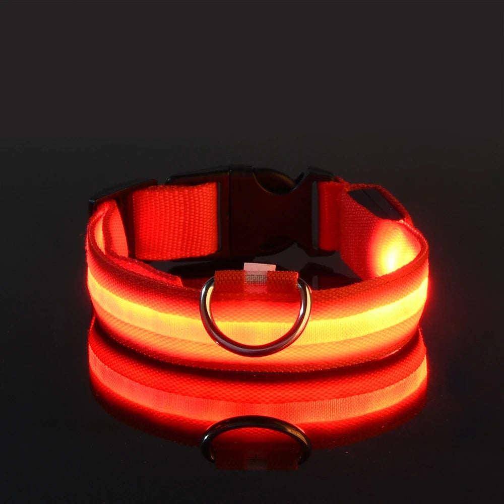 Luminous Glow Dog Leash & Collar